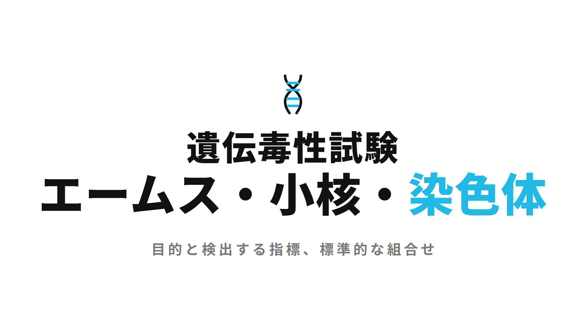 遺伝毒性試験エームス・小核・染色体