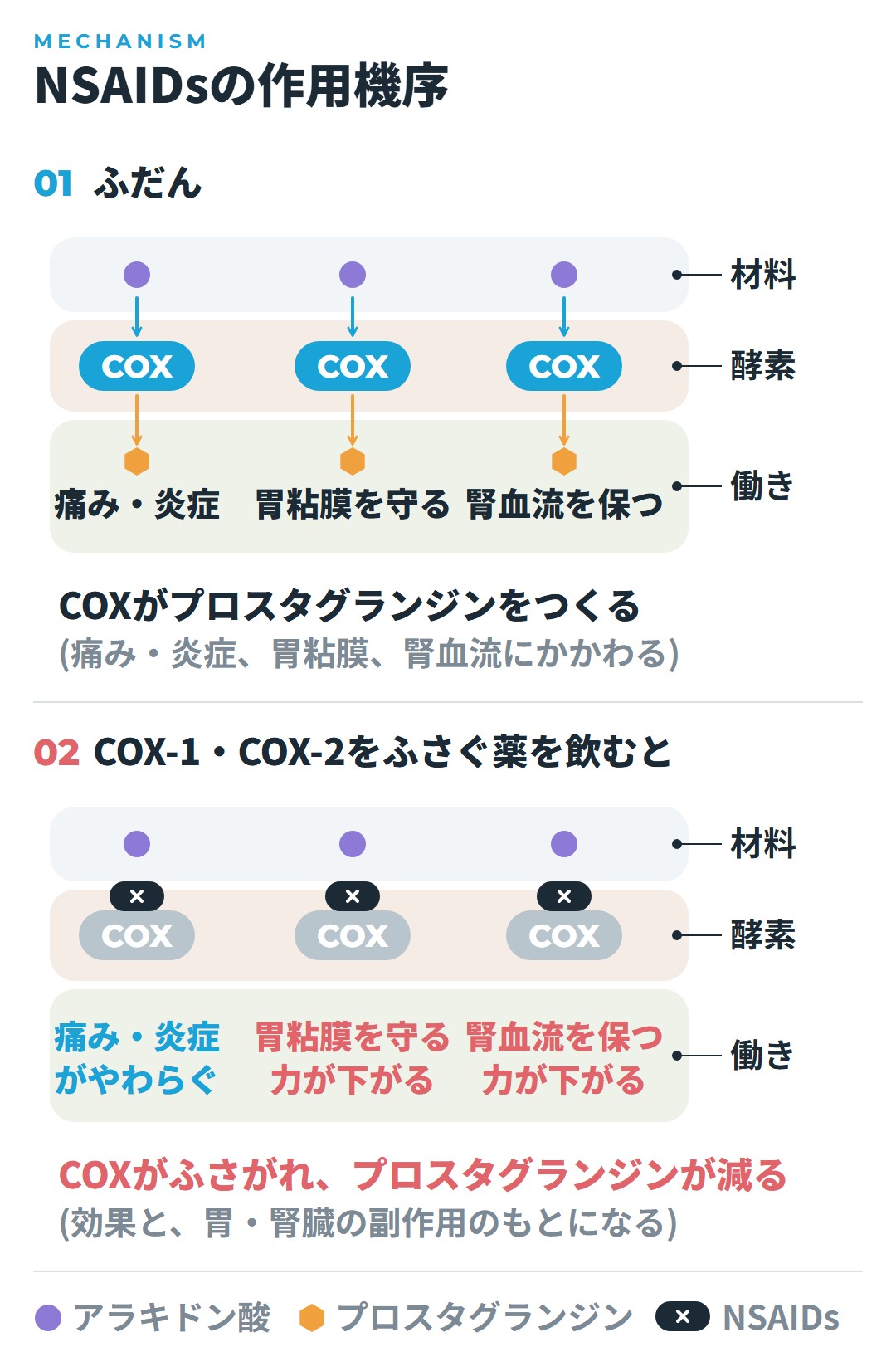 COXがアラキドン酸からプロスタグランジンをつくり、COX-1とCOX-2の両方をふさぐ薬を飲むと、痛み・炎症がやわらぐ一方で胃粘膜を守る力と腎血流を保つ力も下がることを示した図